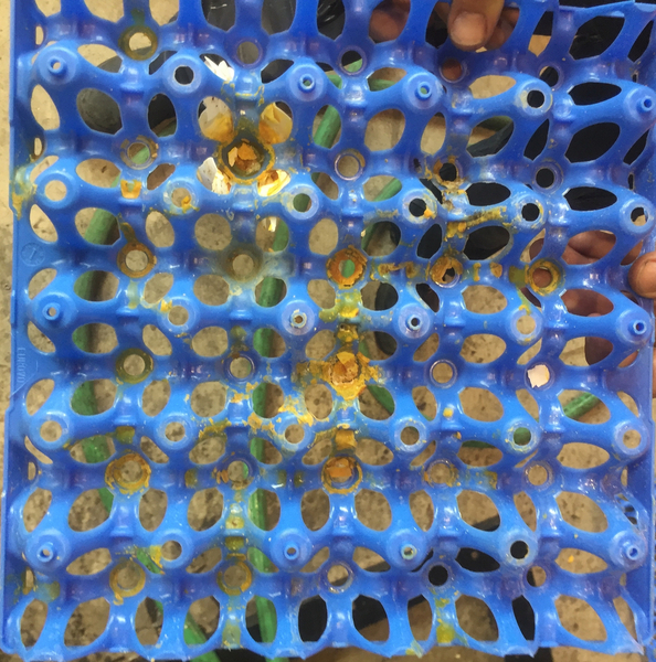 dirty egg tray